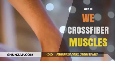 Exploring the Benefits of Cross-Fiber Friction