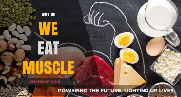 Muscle as Food: Energy and Nutrient Source