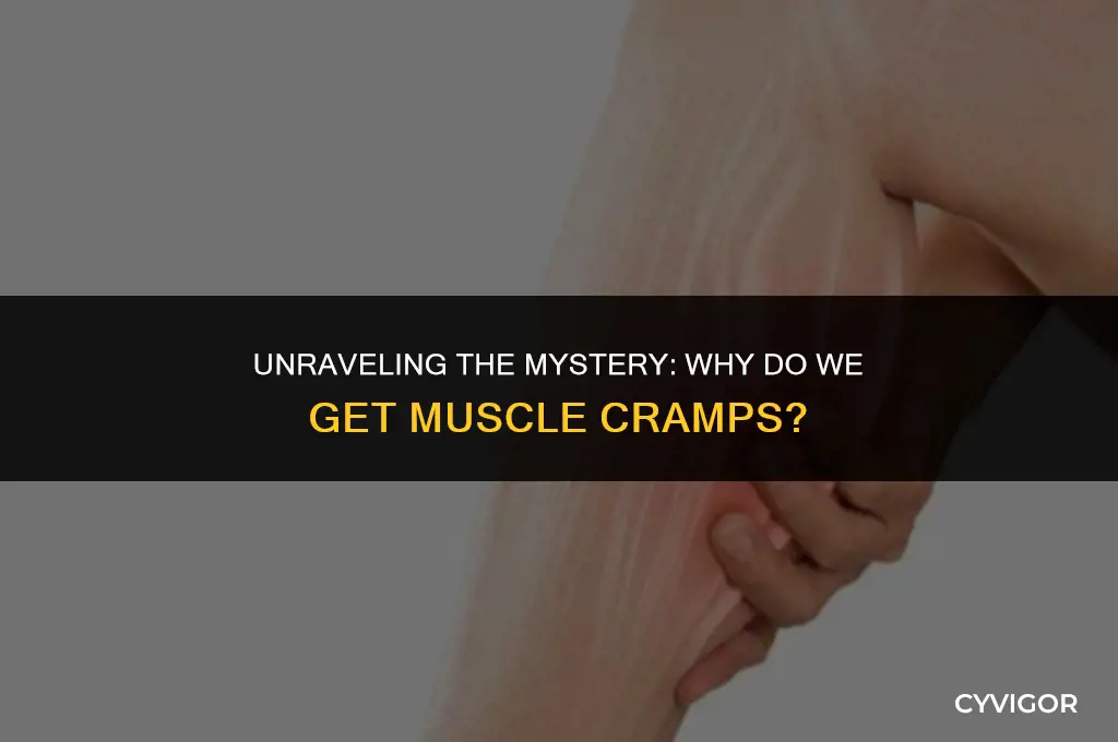 why do we get muscle cramps
