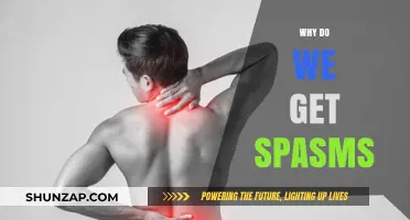 Understanding Spasms: Causes, Symptoms, and Effective Treatments