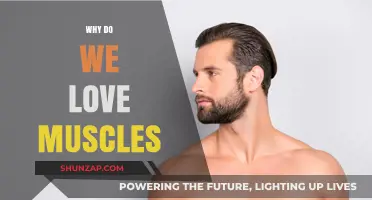 Muscles: Our Obsession and Why We Love Them