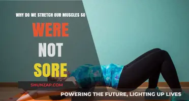 Stretch to Prevent Soreness: The Science Behind Muscle Recovery