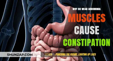 Weak Abdominal Muscles and Constipation: Understanding the Surprising Connection