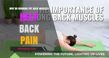 Strengthening Back Muscles: A Key to Relieving Chronic Back Pain