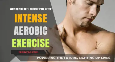 Understanding Post-Workout Muscle Pain: Causes and Recovery Tips
