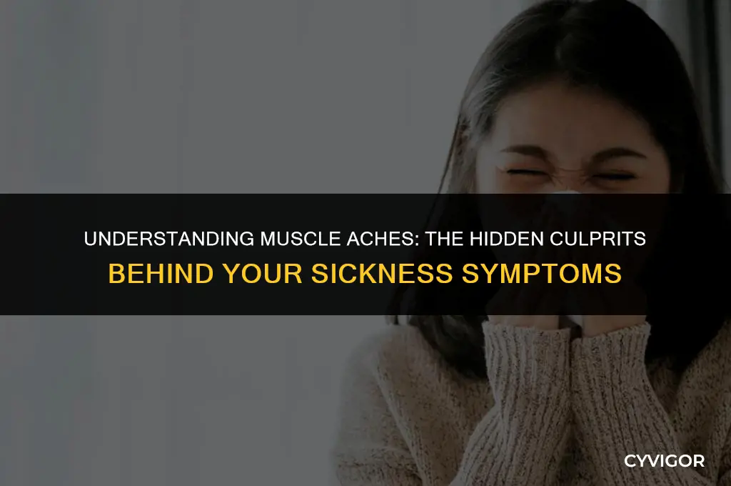 why do you get muscle aches when sick