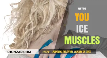 Icing Muscles: Reducing Inflammation and Aiding Recovery