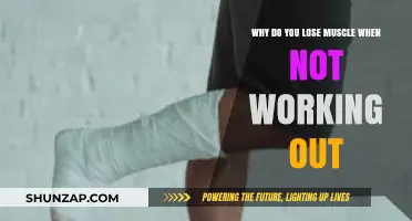 Muscle Loss Explained: Understanding Atrophy When You Stop Working Out