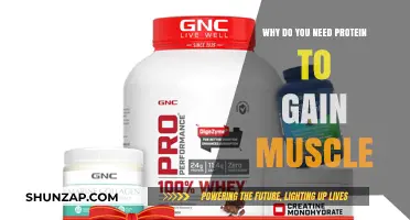 Fuel Your Muscle Growth: The Essential Role of Protein