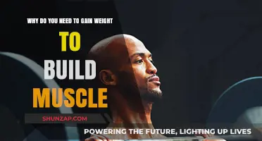 Gain Weight to Build Muscle: The Essential Connection Explained