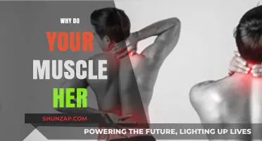 Muscle Aches: Why Your Body Hurts