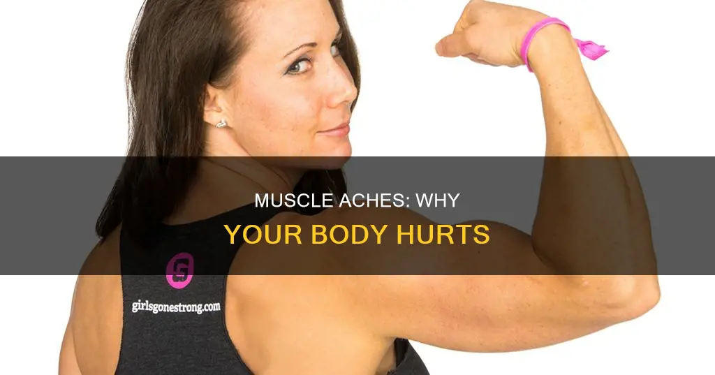 why do your muscle her