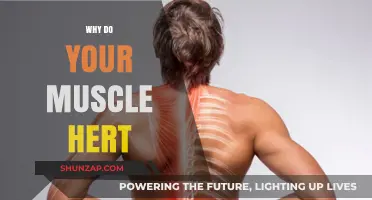Understanding Muscle Soreness: Why Your Muscles Hurt