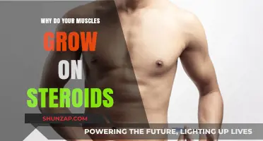 How Steroids Accelerate Muscle Growth: Science Behind the Gains