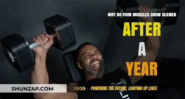 Why Muscle Growth Slows Down After a Year of Training