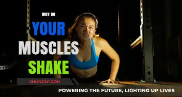 Understanding Muscle Shakes: Reasons Behind the Tremors