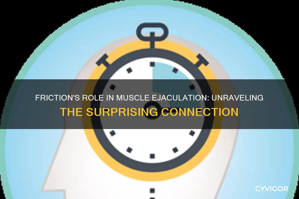 why doea friction cause the muscle to ejaculate