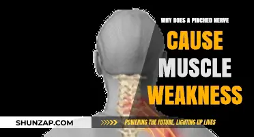 Pinched Nerve and Muscle Weakness: Understanding the Connection