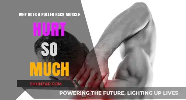 Pulled Back Muscle Pain: Understanding the Intense Discomfort and Causes