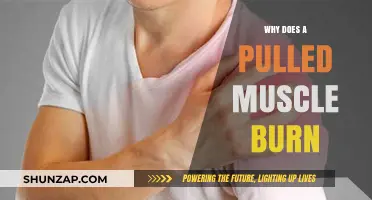 Why Pulled Muscles Burn: Unraveling the Science Behind the Pain