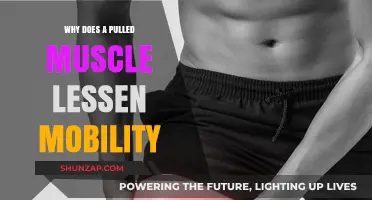 Pulled Muscle Pain: Understanding Reduced Mobility and Recovery Strategies