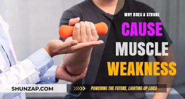 Understanding Stroke-Induced Muscle Weakness: Causes and Mechanisms Explained