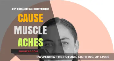 Adrenal Insufficiency and Muscle Pain: Understanding the Connection