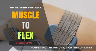 How Electrode Stimulation Triggers Muscle Flexing: A Scientific Explanation
