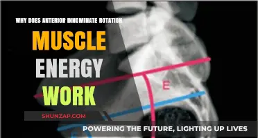 Anterior Innominate Rotation: How Muscle Energy Technique Restores Balance