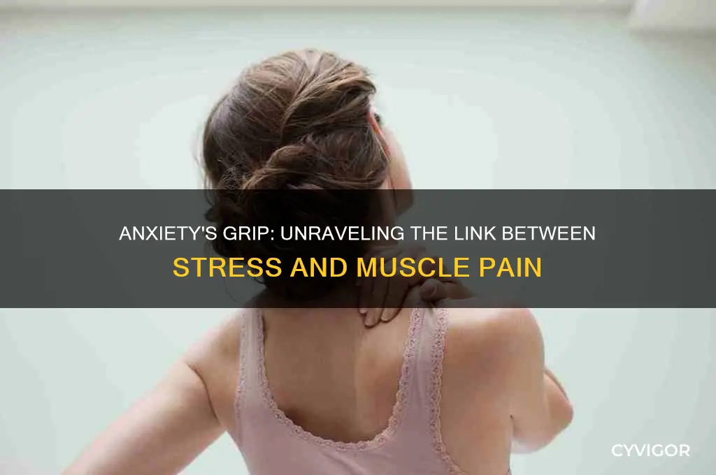 why does anxiety cause sore muscles