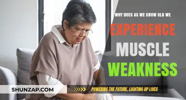 Aging and Muscle Weakness: Understanding the Causes and Solutions