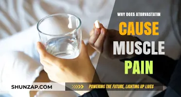 Understanding Atorvastatin's Link to Muscle Pain: Causes and Solutions