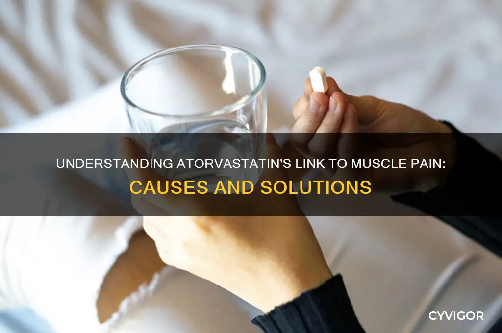 why does atorvastatin cause muscle pain