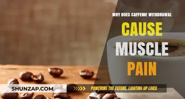 Caffeine Withdrawal and Muscle Pain: Unraveling the Surprising Connection
