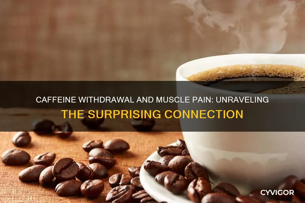 why does caffeine withdrawal cause muscle pain