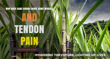 Cane Sugar's Hidden Impact: Unraveling Joint, Muscle, and Tendon Pain