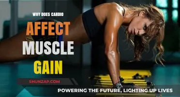 Cardio and Muscle Gain: Debunking Myths for Optimal Fitness Results