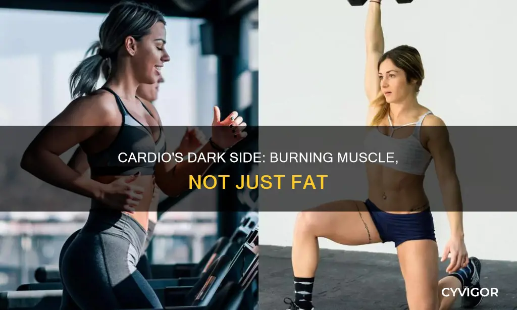why does cardio burn muscle