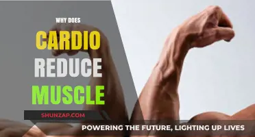 Cardio and Muscle Loss: What's the Connection?