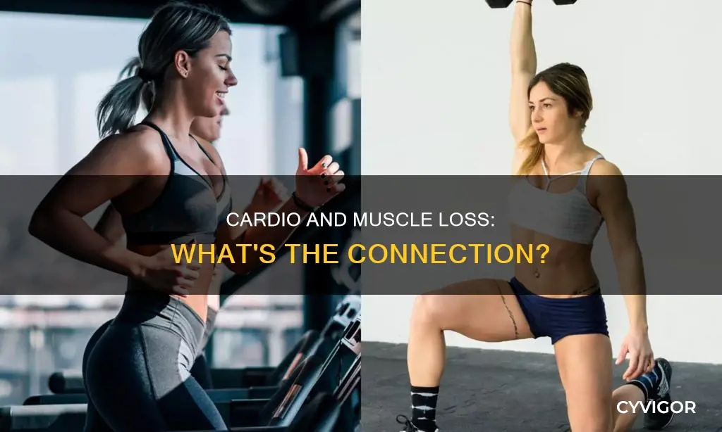 why does cardio reduce muscle