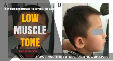Chromosome 8 Duplication and Its Link to Low Muscle Tone Explained