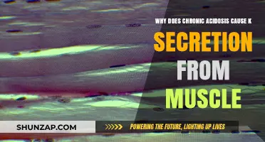 Chronic Acidosis Triggers Muscle K+ Secretion: Understanding the Mechanism