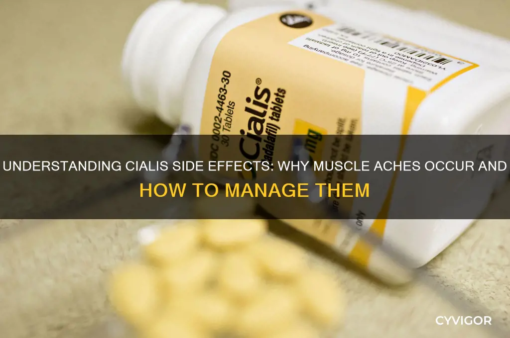 why does cialis cause muscle aches