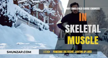 Cold's Impact: Unraveling Skeletal Muscle Changes in Chilly Conditions