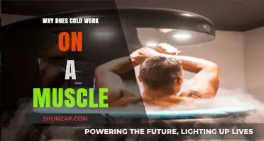 How Cold Therapy Relieves Muscle Pain and Speeds Recovery