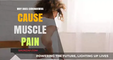Understanding COVID-19: The Science Behind Coronavirus-Induced Muscle Pain
