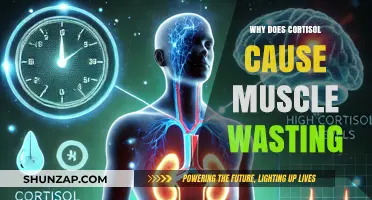 Cortisol's Role in Muscle Wasting: Understanding the Science Behind It