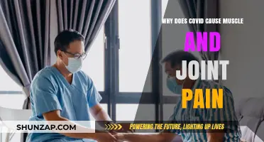 Understanding COVID-19's Impact: Muscle and Joint Pain Explained