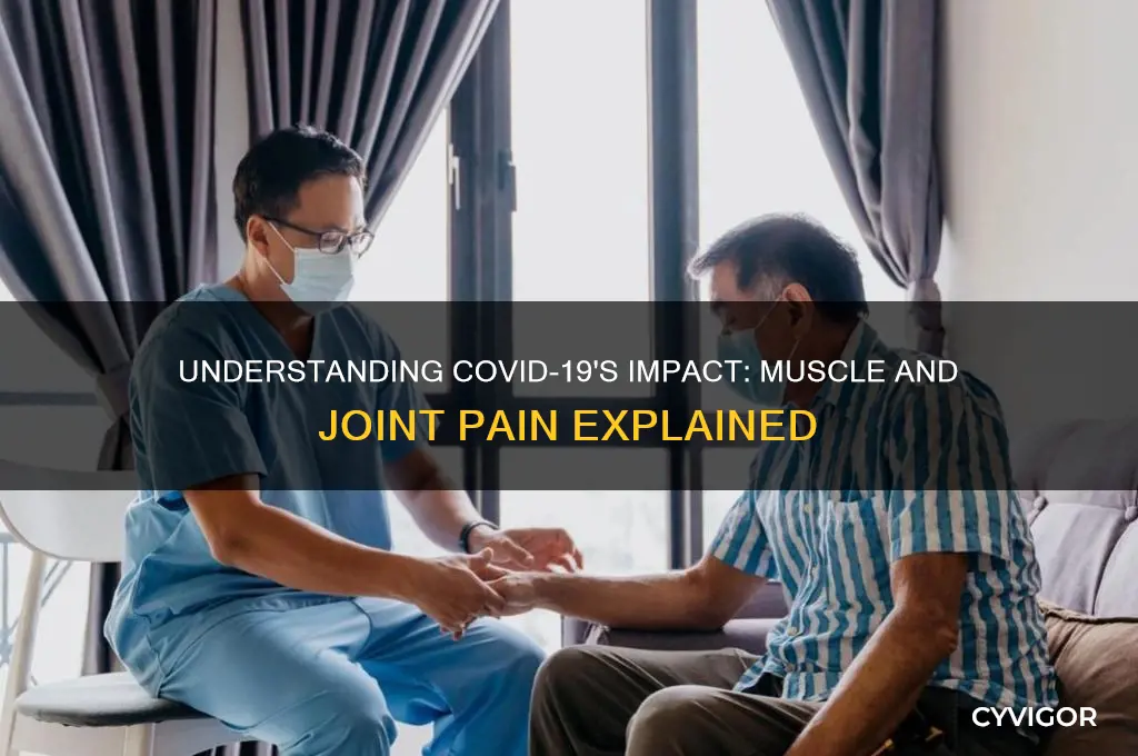 why does covid cause muscle and joint pain