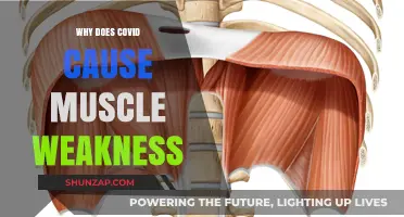 Understanding COVID-19's Impact: Unraveling the Mystery of Muscle Weakness